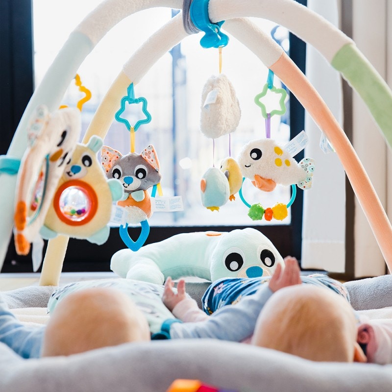 Gimnasio PLAYGRO Acurrucame Pingüino