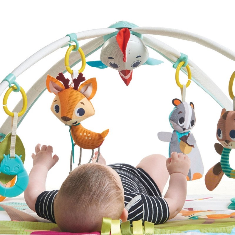 Gimnasio Into The Forest TINY LOVE Gymini Deluxe