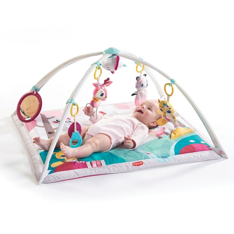 Gimnasio Tiny Princess Tales Gymini Deluxe