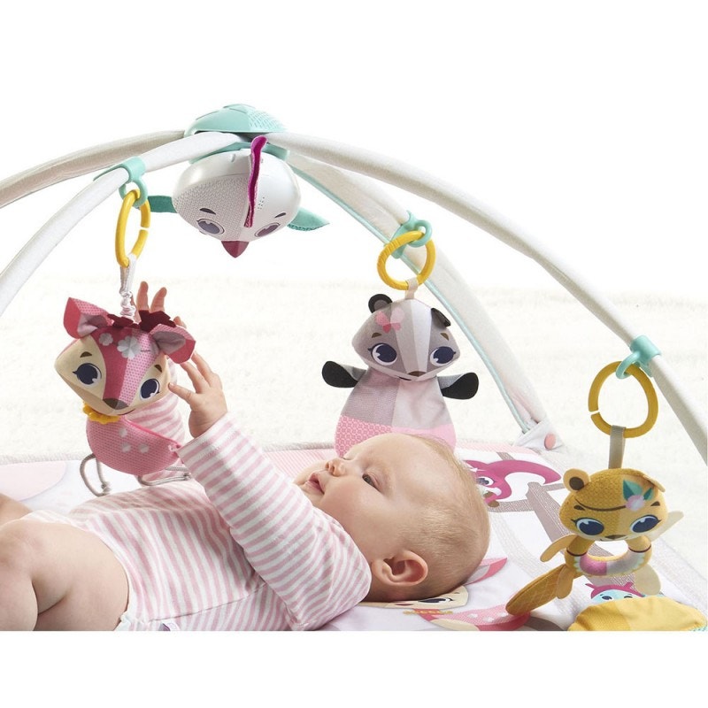 Gimnasio Tiny Princess Tales Gymini Deluxe
