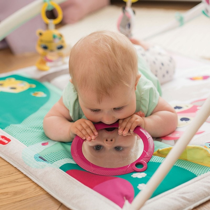 Gimnasio Tiny Princess Tales Gymini Deluxe
