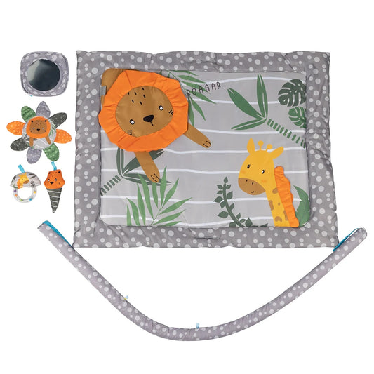 Gimnasio Centro De Actividades Amigos Salvajes INFANTI