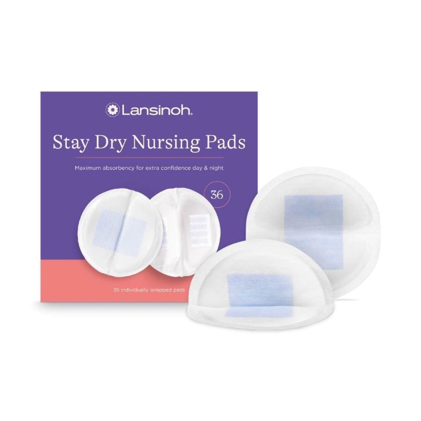 Empaque original Absorbentes desechables Lansinoh Stay Dry 36 unidades