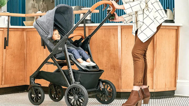 Coches Travel System