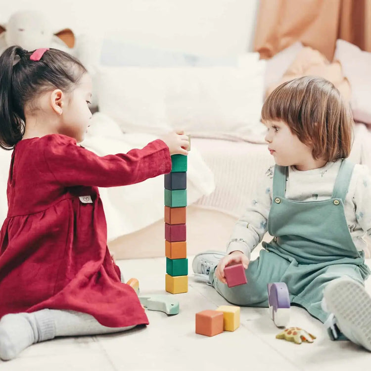 Juguetes Educativos