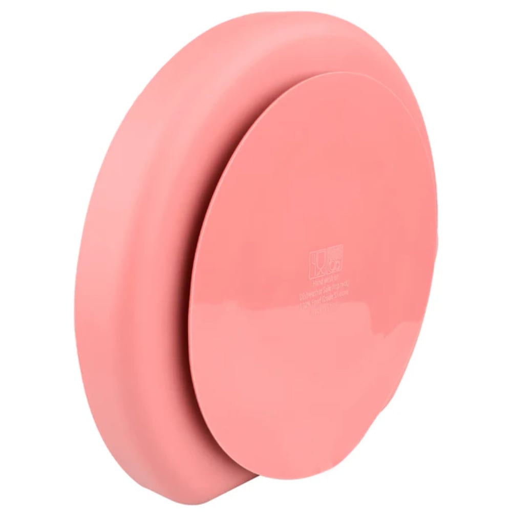 Plato Con Divisiones INFANTI