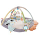 Gimnasio PLAYGRO Acurrucame Pingüino