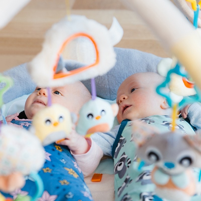 Gimnasio PLAYGRO Acurrucame Pingüino