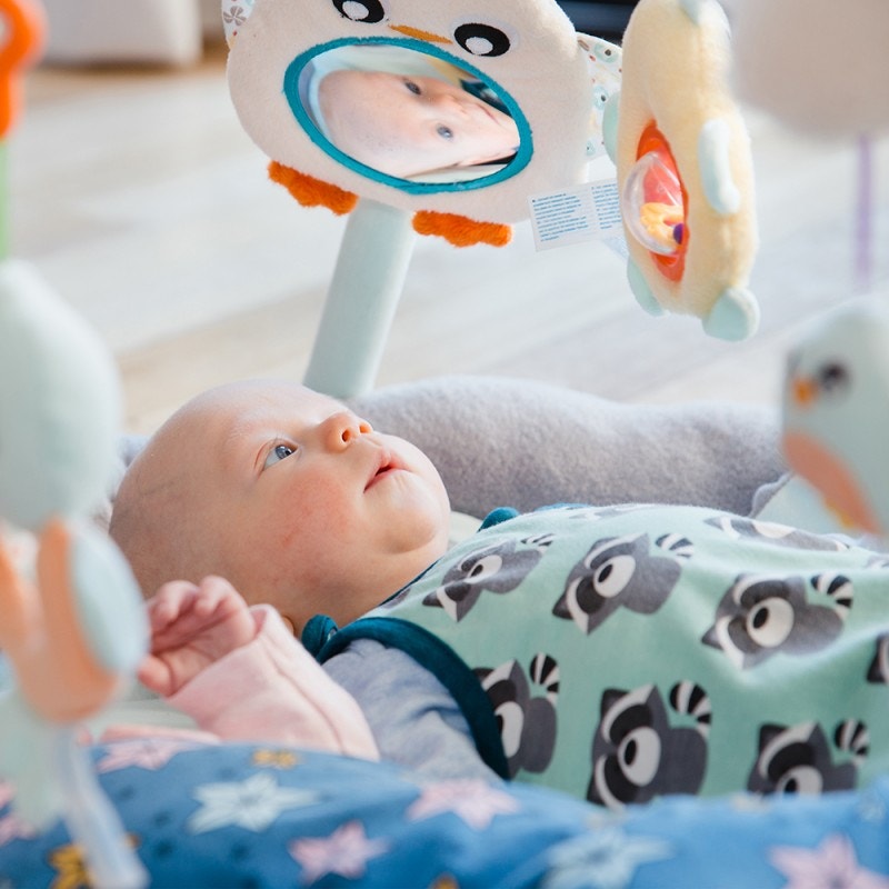 Gimnasio PLAYGRO Acurrucame Pingüino