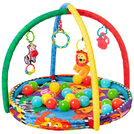 Gimnasio y Piscina de Pelotas 5 en 1 PLAYGRO