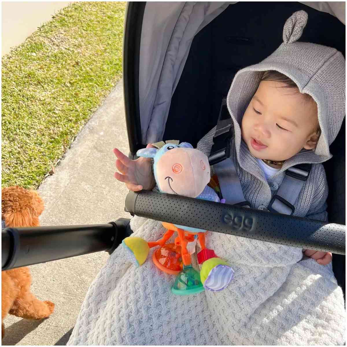 Sonajero PLAYGRO Clip Clop con Actividades