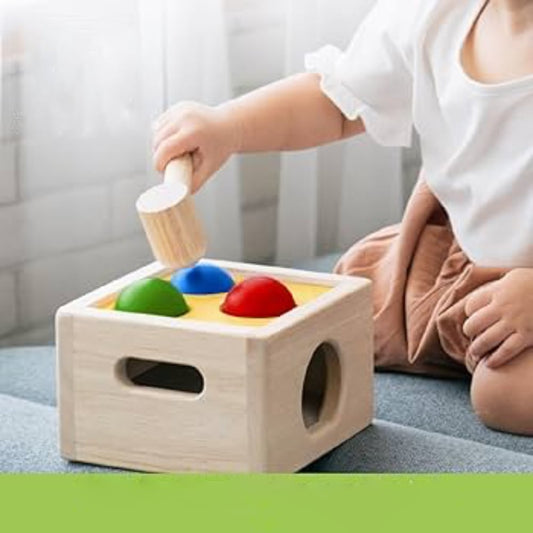 Juguete de Madera Empuja y Suelta PLANTOYS