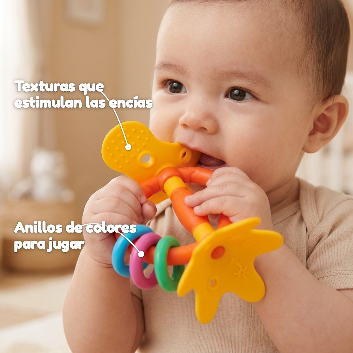 Texturas que estimulan las encías y anillos de colores