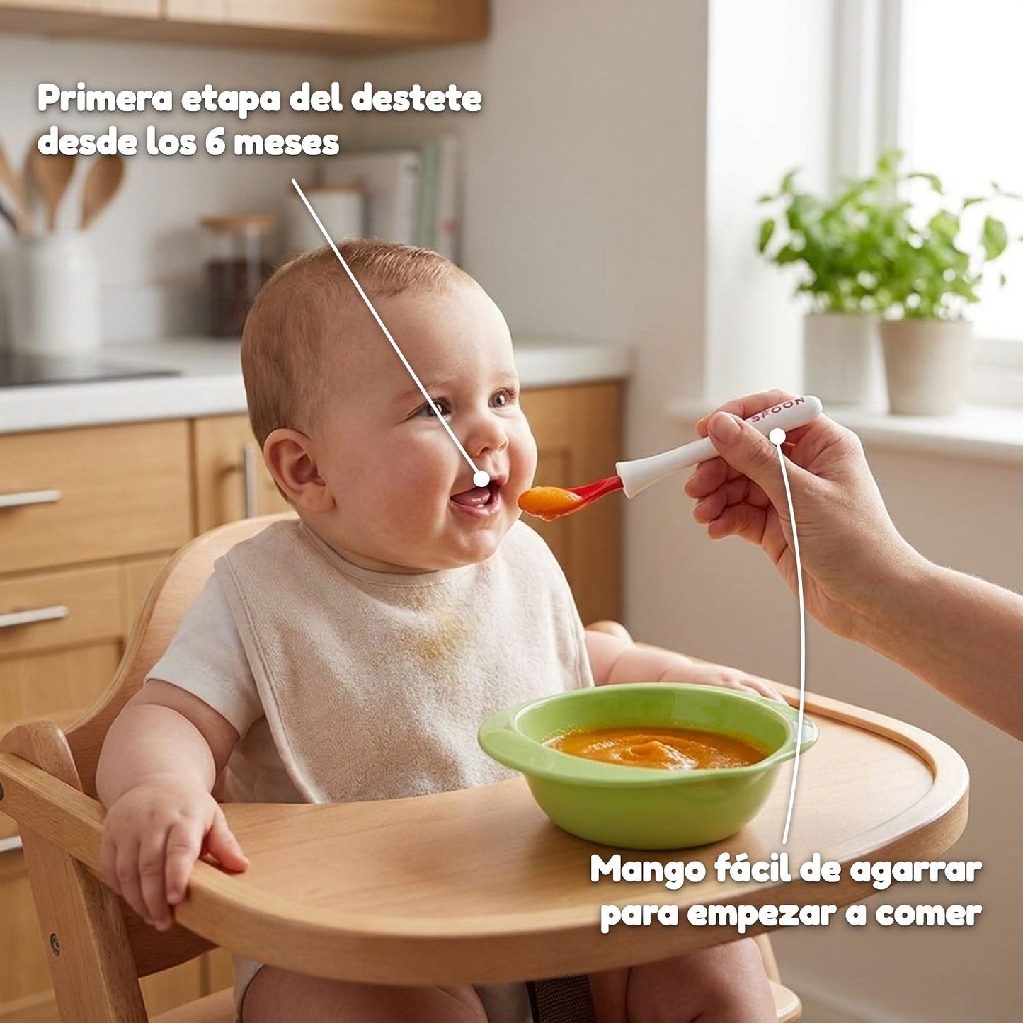 Primera etapa del destete desde 6 meses